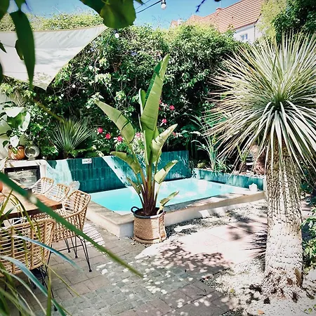 Unique House With Private Swimming Pool By The Sea - Afra Group